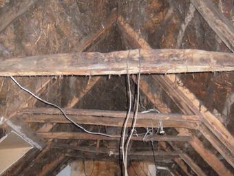 Thatched House, Ballygarran, Wexford 10 - Roof Supports East